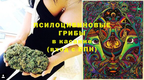 соль курить ск Арсеньев