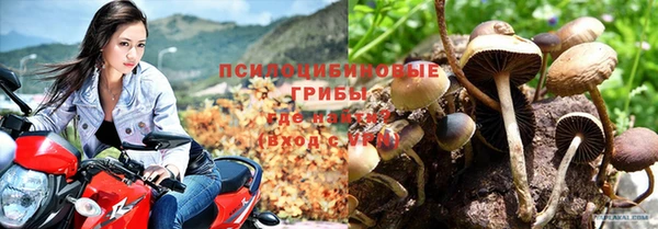 гашиш Аркадак