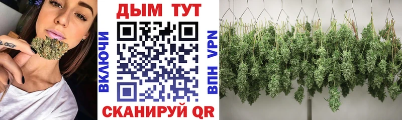Конопля OG Kush  Родники 